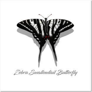 Zebra Swallowtail Butterfly Labeled Posters and Art